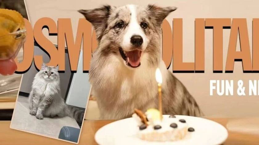 洛杉矶奥运会首金是美国队强项