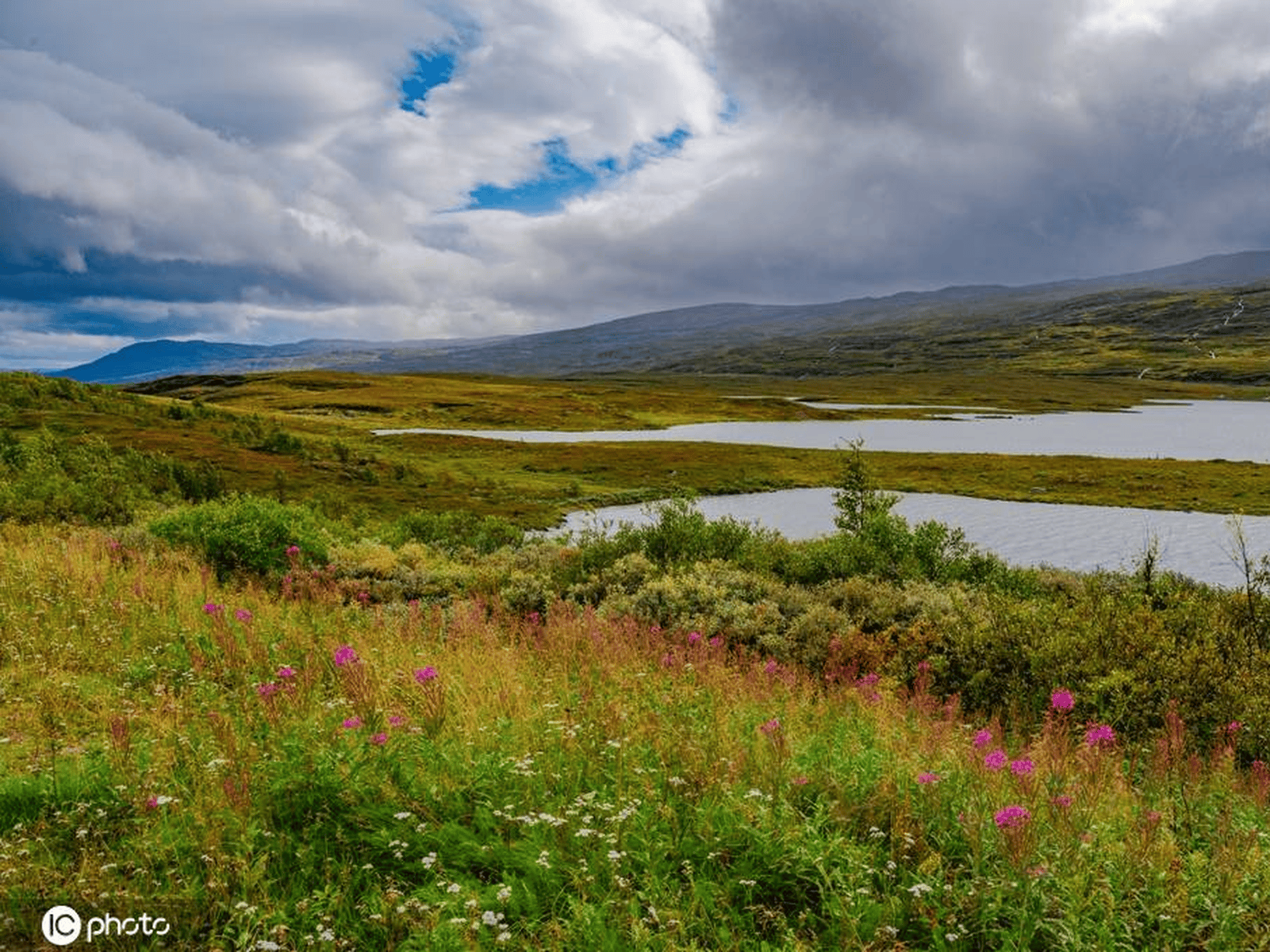 圣诞老人的故乡:瑞典北部拉普兰德自然风光无限