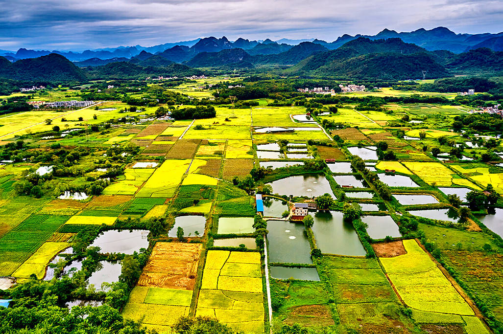 真实数据是最好的证明_平原_湖北省_江西