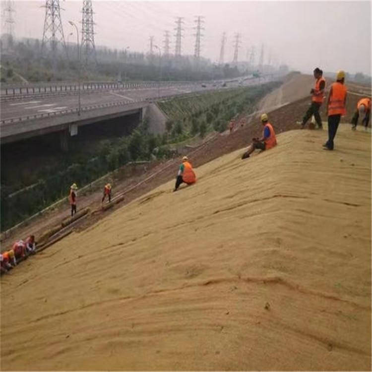 護坡椰絲毯,荒山礦山生態修復利器_產品種類_植草_施工