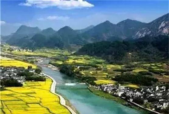 原创            阳春三月婺源行油菜花开醉游人，青山向晚盈轩翠，碧水含春傍槛流