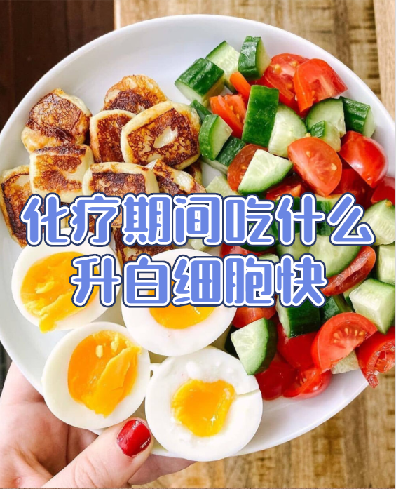 化療期間吃什麼升白細胞快_蛋白質_食物_營養