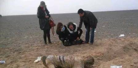 96年,盲目自信,被舆论绑架的余纯顺曝尸罗布泊,值不值得?