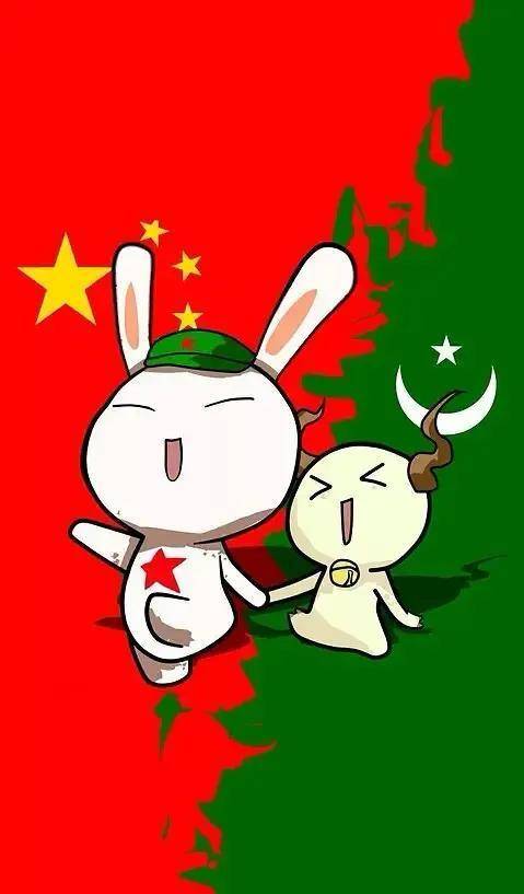 凭什么叫巴铁?_中国_巴方_美国