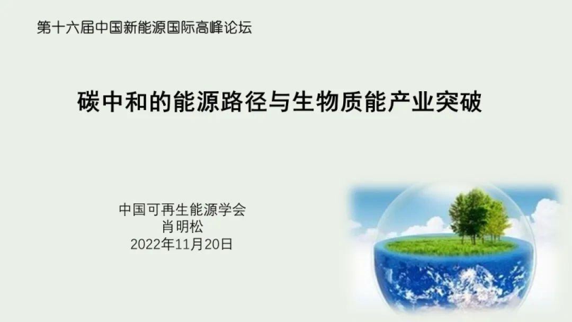 2024合成生物生物質相關研究報告合集40份打包下載