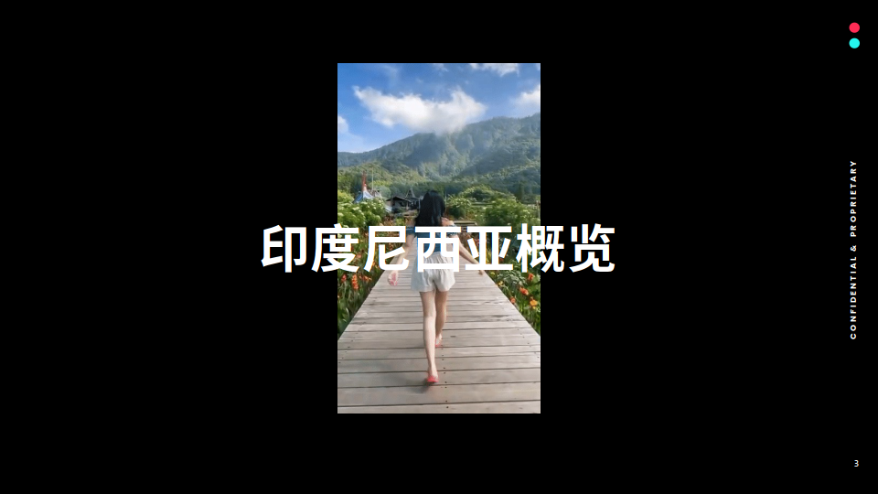 全球市场百宝书-印度尼西亚(附下载)_印尼_报告_经济体