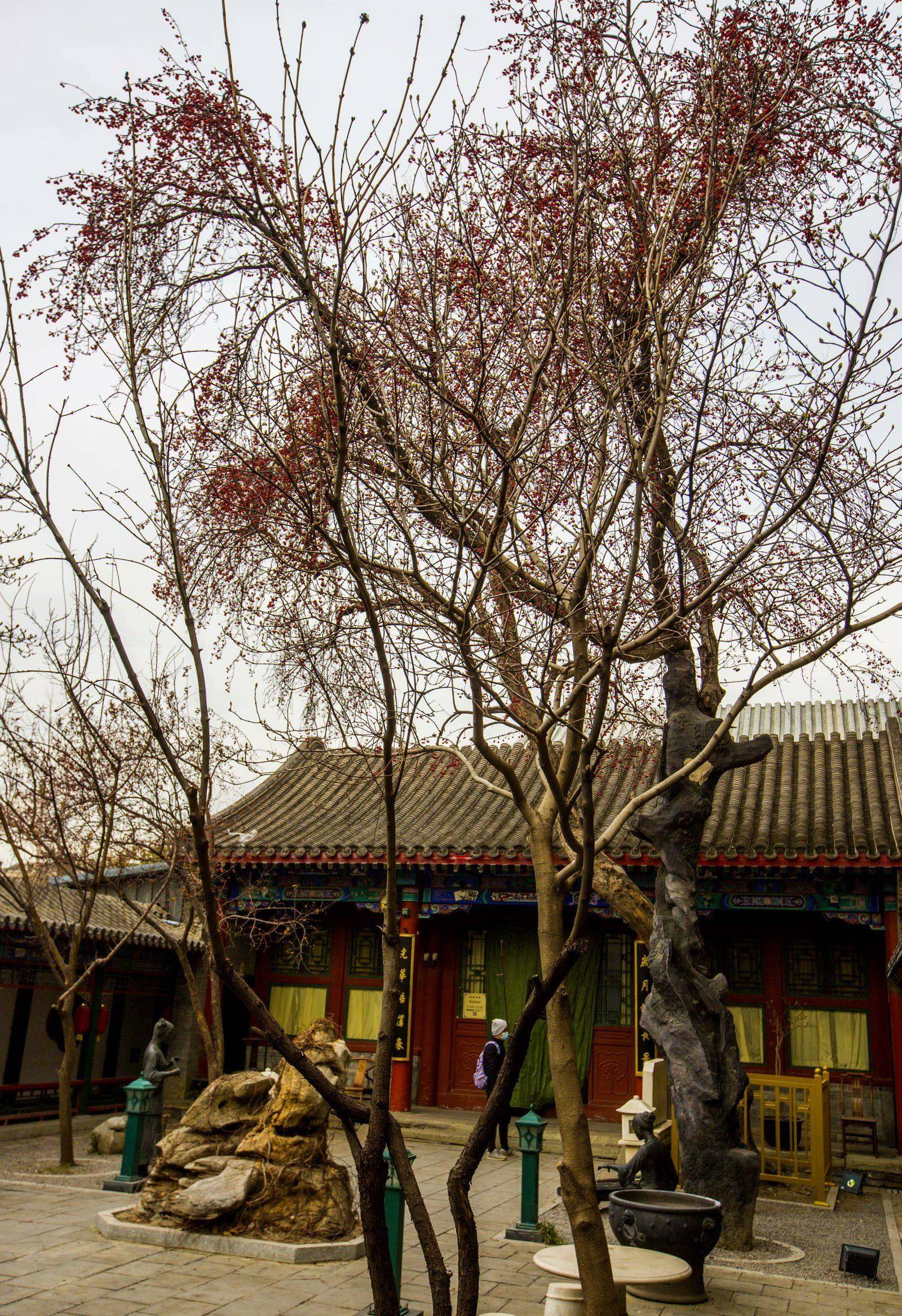 纪晓岚故居位于现北京市珠市口西大街241号,属市级文物保护单位_尚书