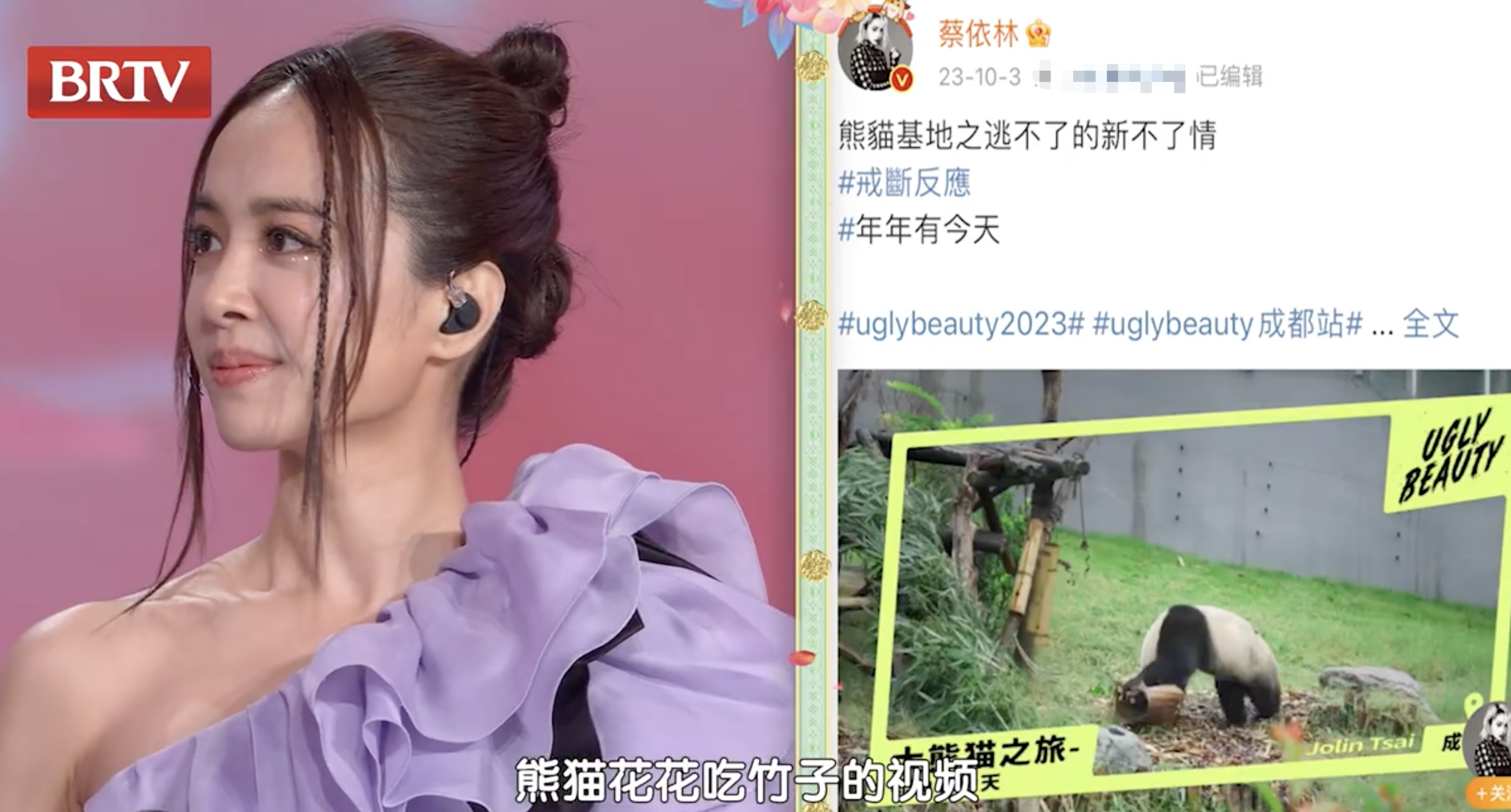 蔡依林想去看萌兰表演:它只要呼吸都好可爱_网友_花花_竹子