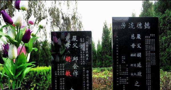 邱会作墓,先位于八宝山公墓,后魂归故里,墓地设计意义深远!_将军_黑色