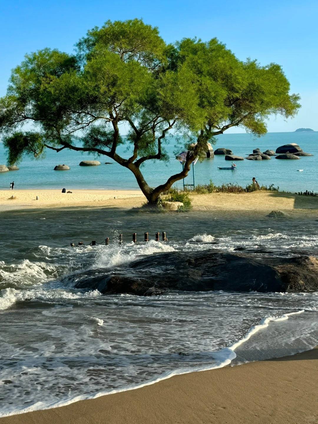 一次去厦门怎么玩,这篇厦门五天四晚旅游攻略告诉你_day_鼓浪屿_导游