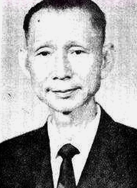 龚楚_何长林_陈毅