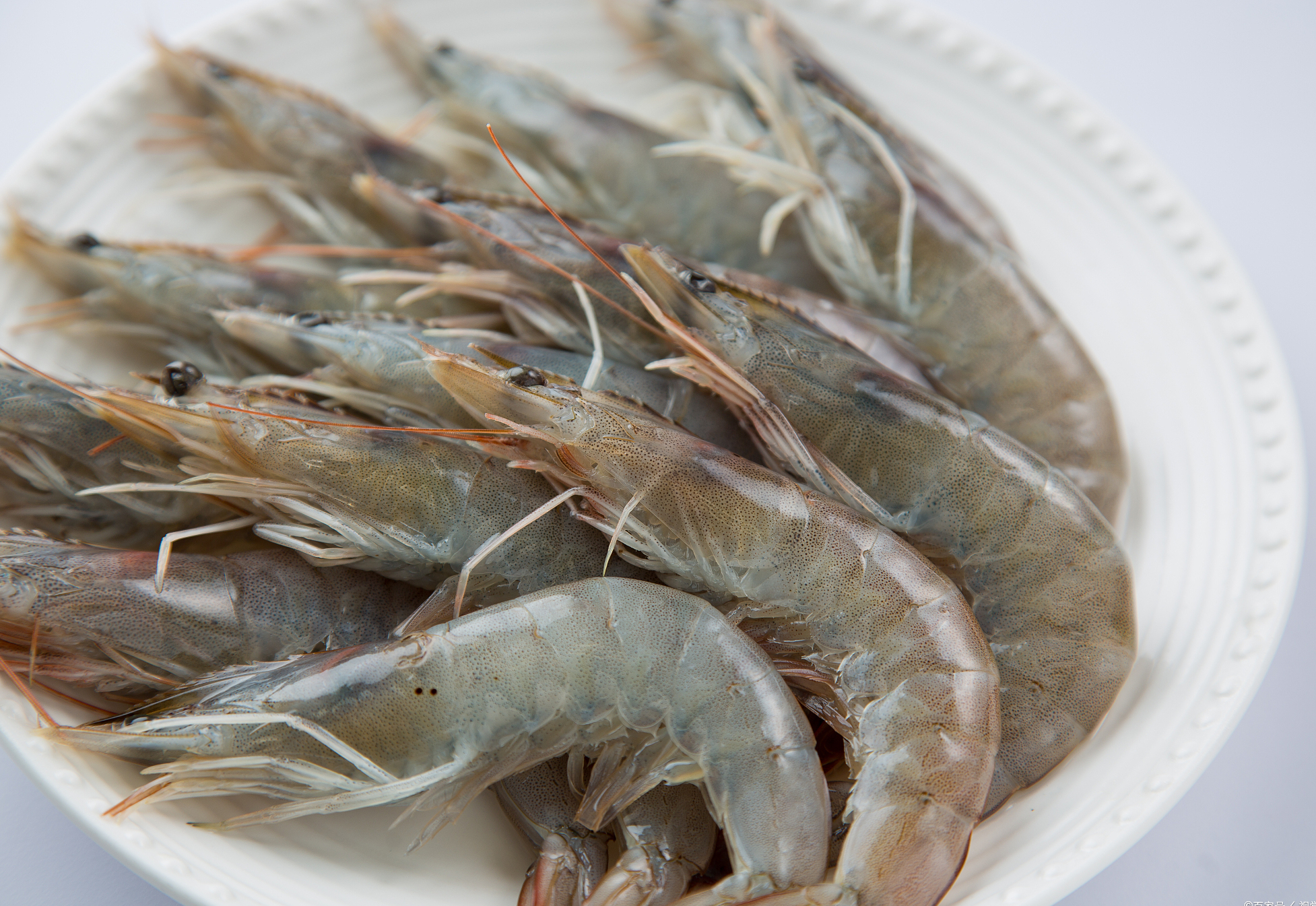 在写这篇文章之前,我还去查了资料,看了一部分美食博主的评论区,简直