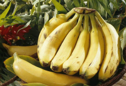 综上所述,生香蕉和熟香蕉都具有各自的营养价值和保健作用.