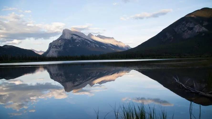 最新公告2024年蛟河市中央水库移民扶持项目监理单位入围招标