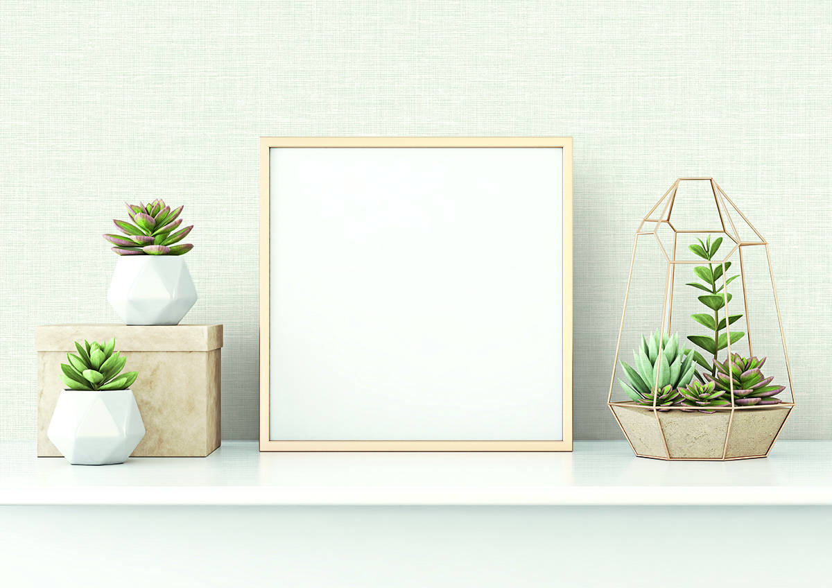 每一张壁纸都采用了多种技术,展现出其独特的对比度和简洁感.