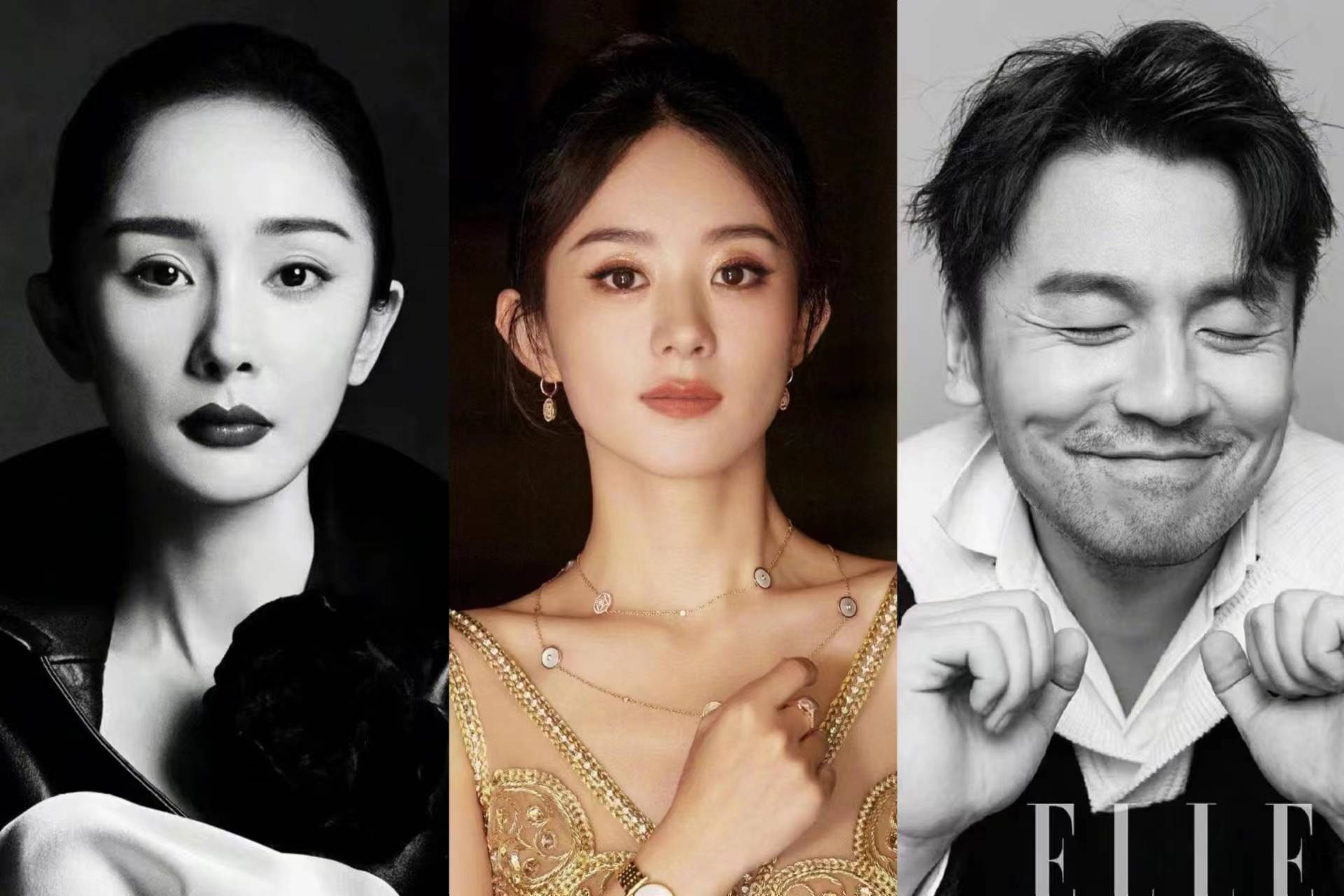 《酱园弄》角色敲定,章子怡大女主,赵丽颖演苏青,杨幂饰演吴玲_电影