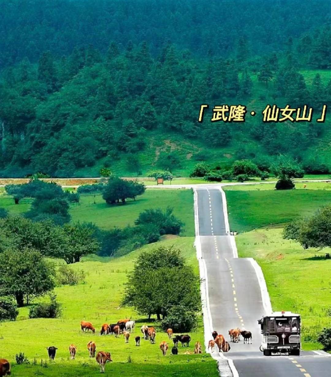 重庆武隆天坑旅游攻略,重庆武隆天坑价格多少,让你省钱又省心_景点