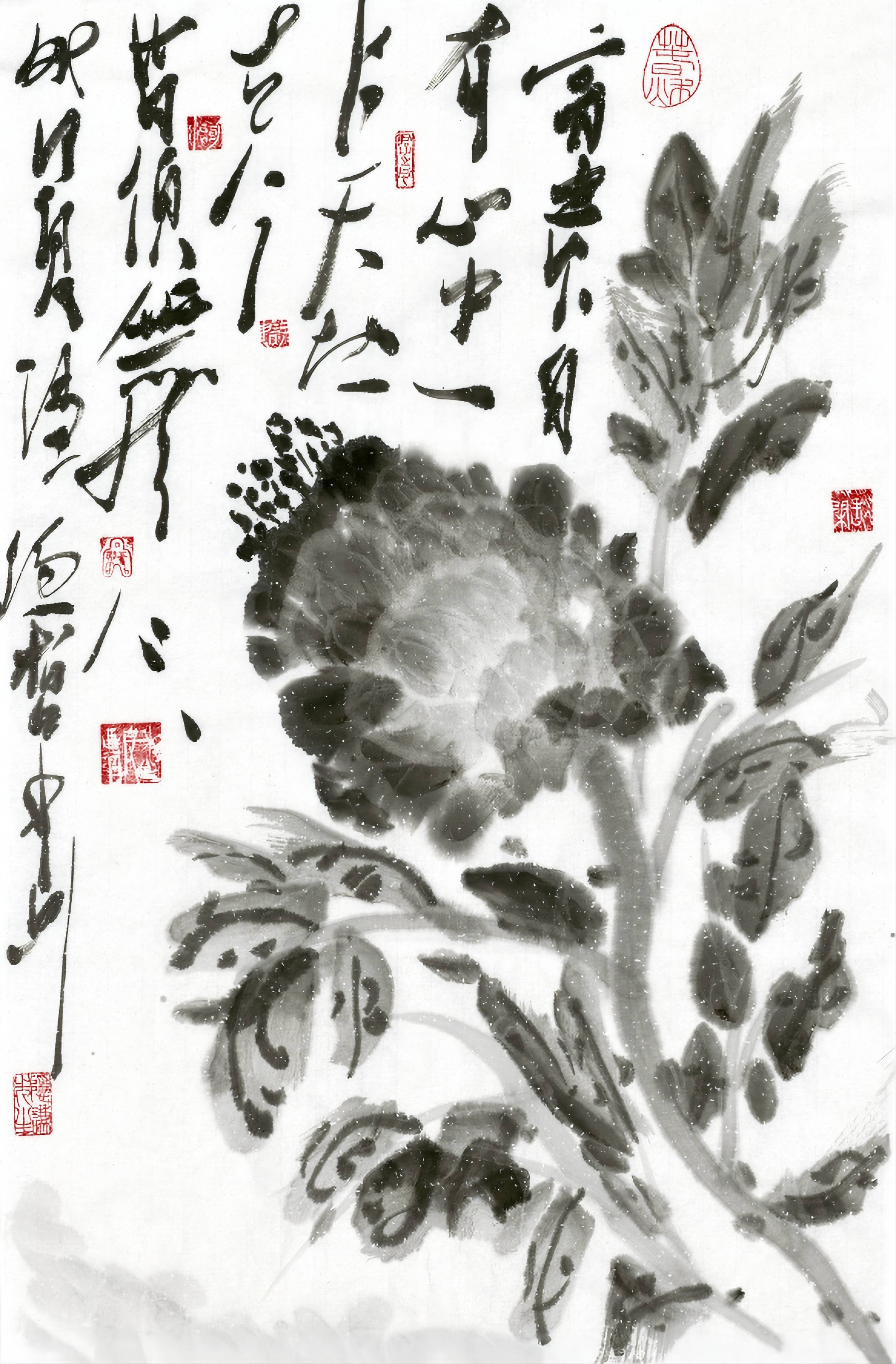 大写意花鸟画家周隐谦笔下的水墨牡丹欣赏_小品_国色_少年