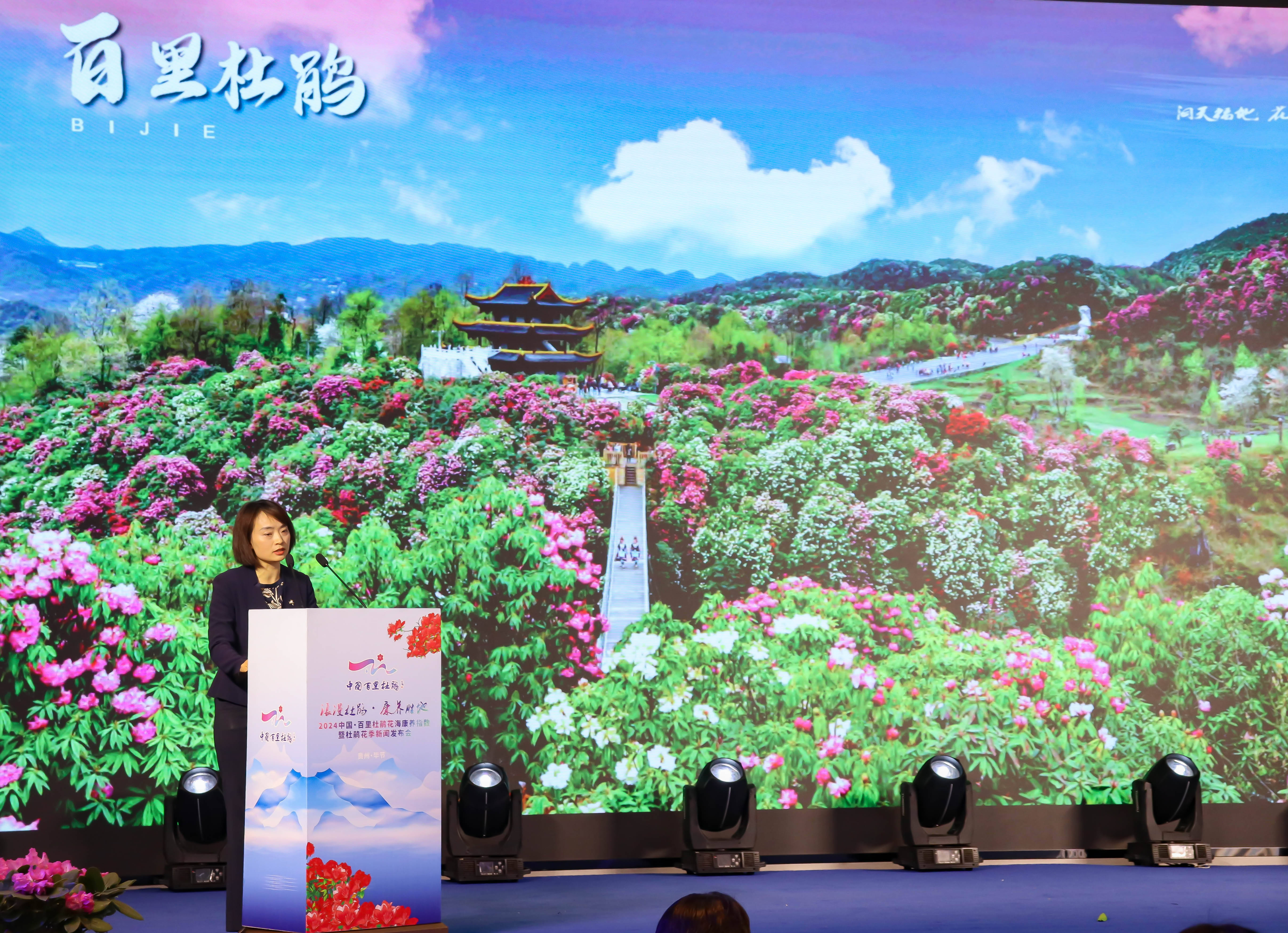 毕节百里杜鹃2024杜鹃花季新闻发布会举行_广电旅游局_景区_花海