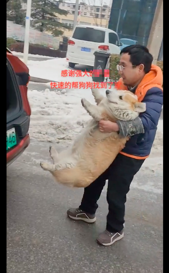 雪天捡到只胖柯基,主人找过来还送了礼!抱起它的那刻笑不活了!