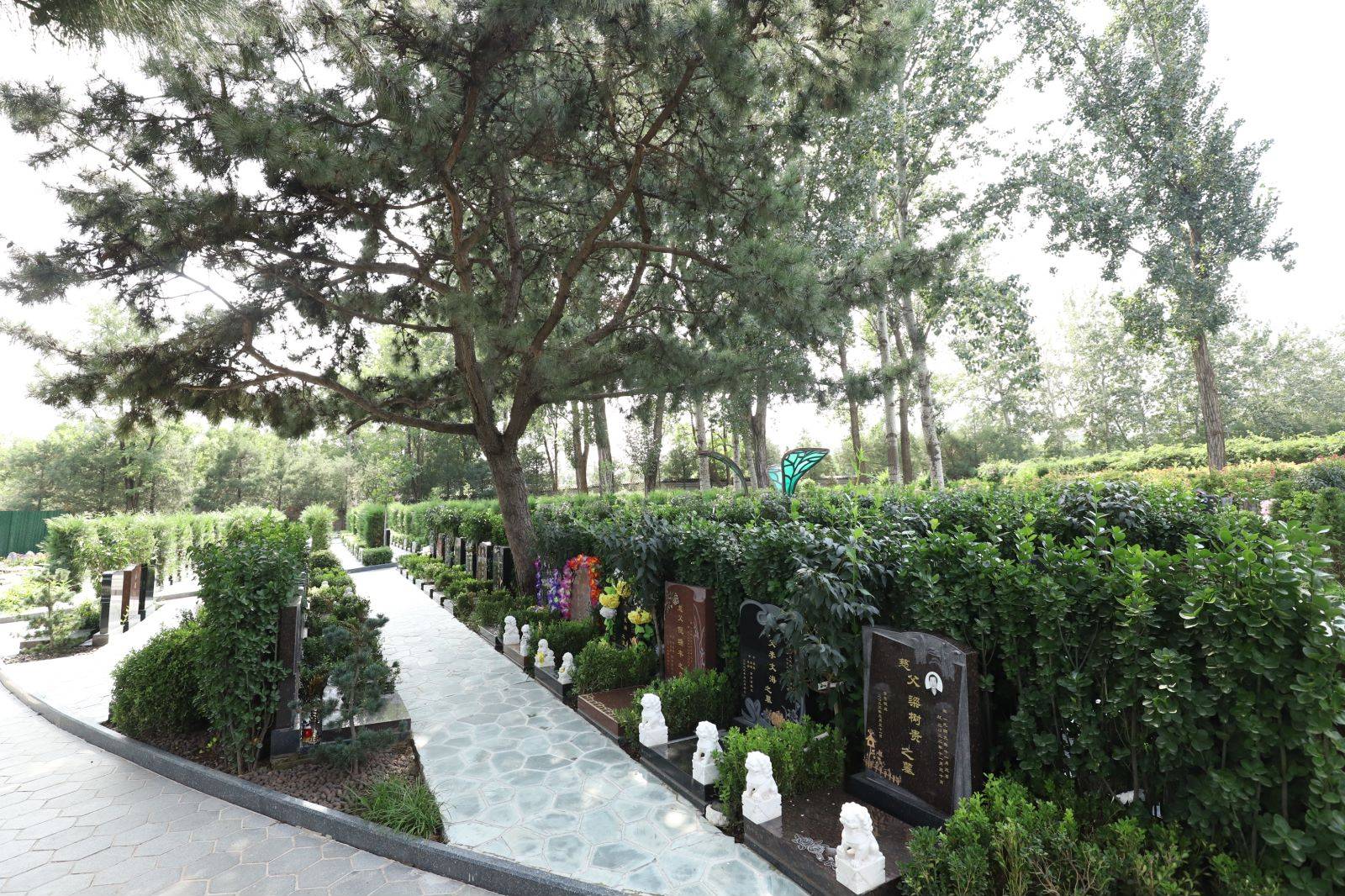 天寿陵园怎么样?_园区_侯耀文_墓地