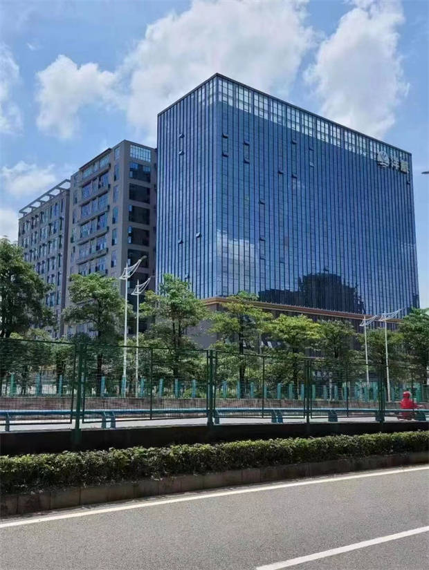 东莞2024年3月最新开售楼盘《龙腾大厦》大岭山中心小产权房统建楼