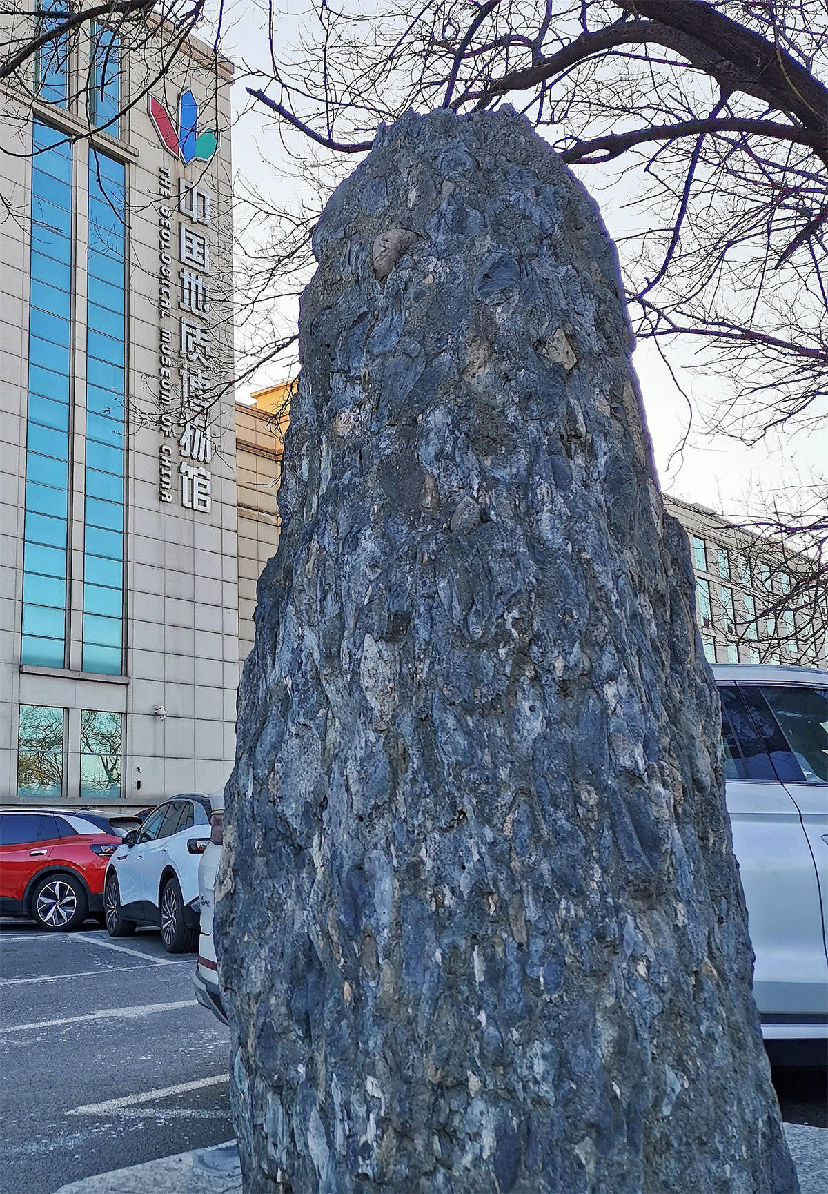 原创带娃走进博物馆欣赏璀璨的石头