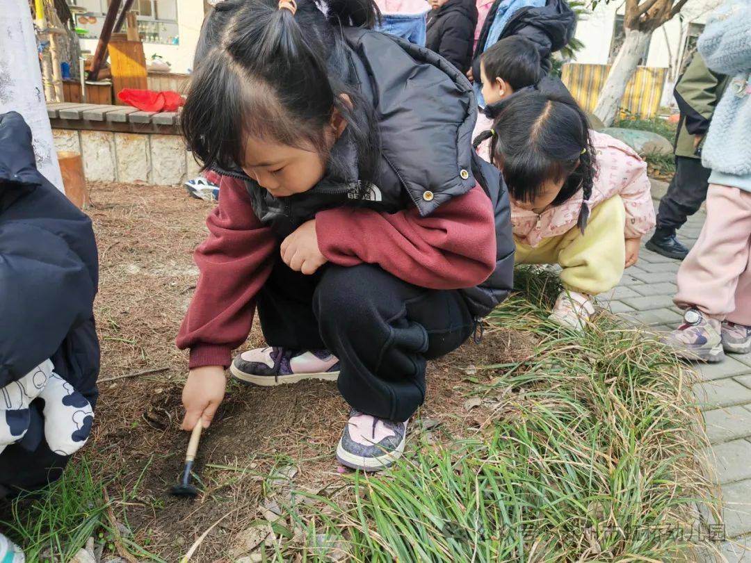 小朋友种树照片图片