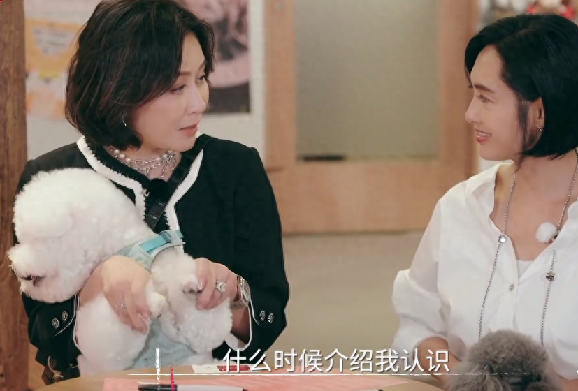 朱茵谈11岁女儿滔滔不绝,刘嘉玲:我和梁朝伟商量好做丁克族_小孩