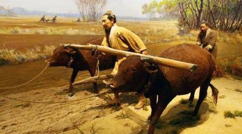 牛乃耕农之本从古代牛疫流行入手谈谈古代官方的应对机制