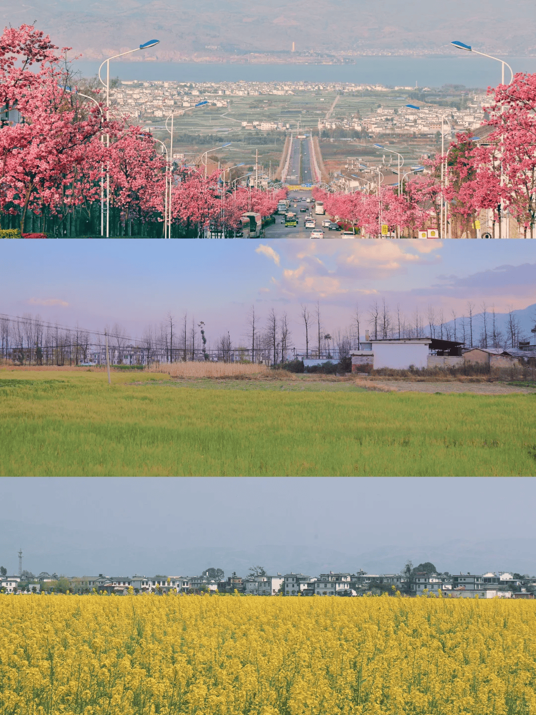云南自由行路线攻略大理景点四月大理像掉进了油画般的春天里