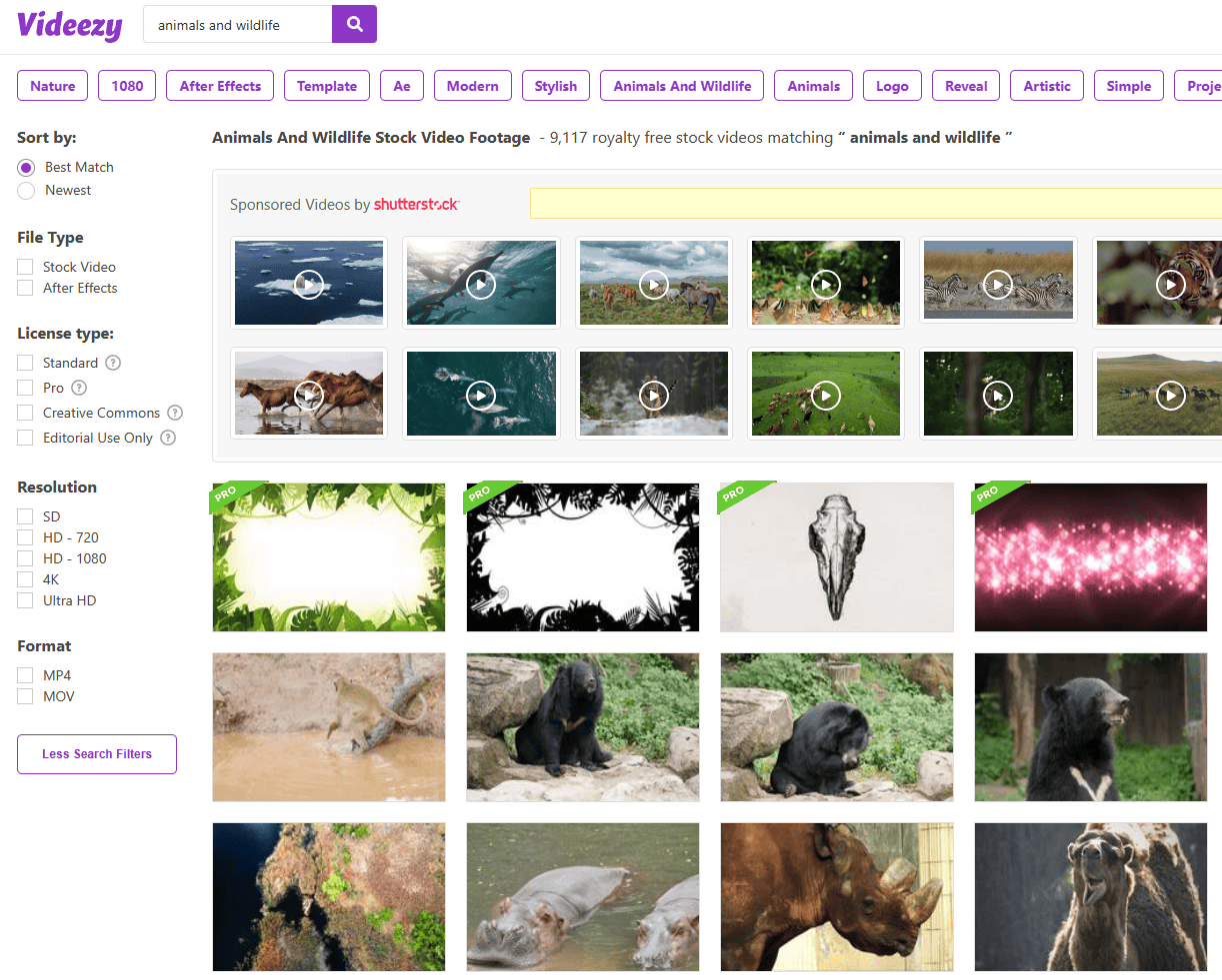 videezy 来自搜狐网