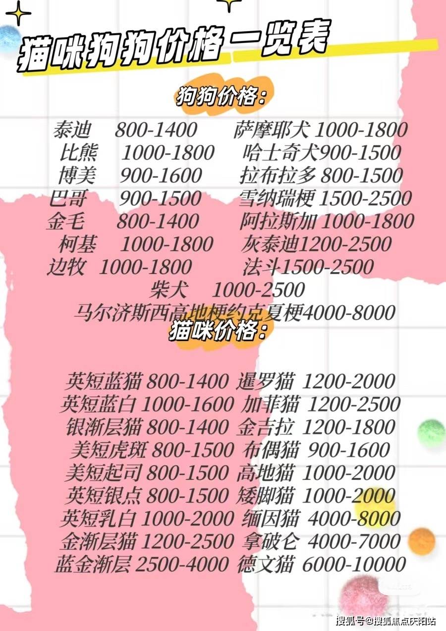 广州买金渐层猫这里安全可靠可实体店挑选宠物!_狗狗_顾客_疾病