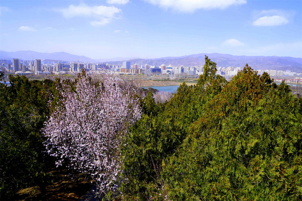 赏花踏青登高望远去老山城市休闲公园