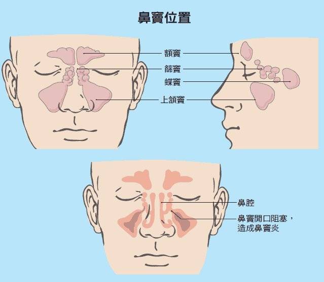 后鼻孔在哪个位置图片图片