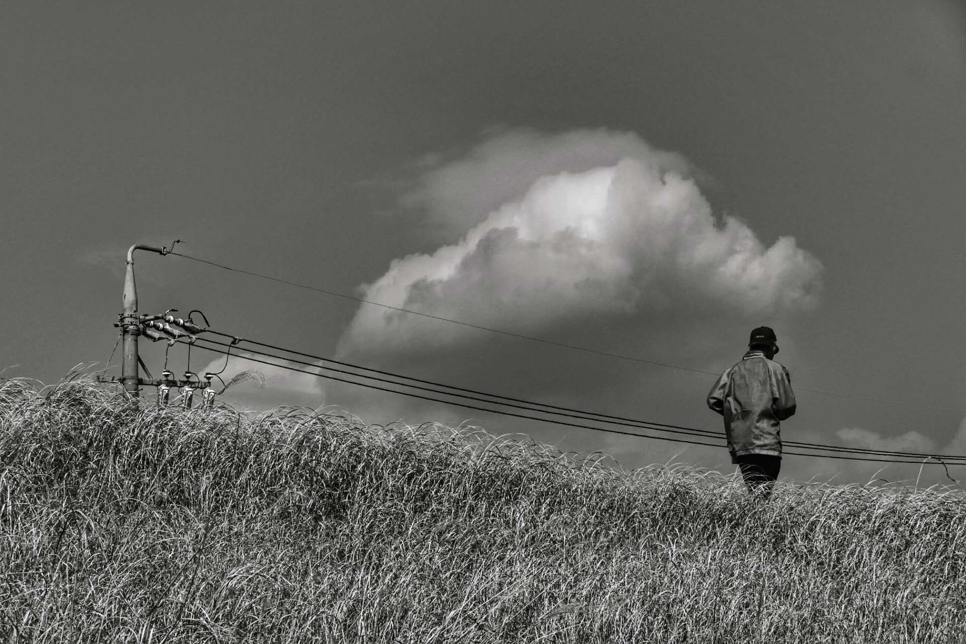 陆 文骆金星柳松薛金凤邹佩飞王济华顾培年孙明