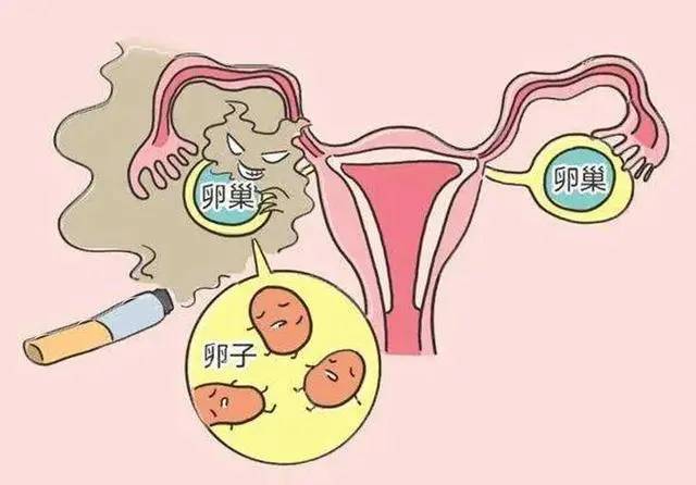 南京不孕不育:子宫卵巢早衰什么原因?_女性_压力_影响