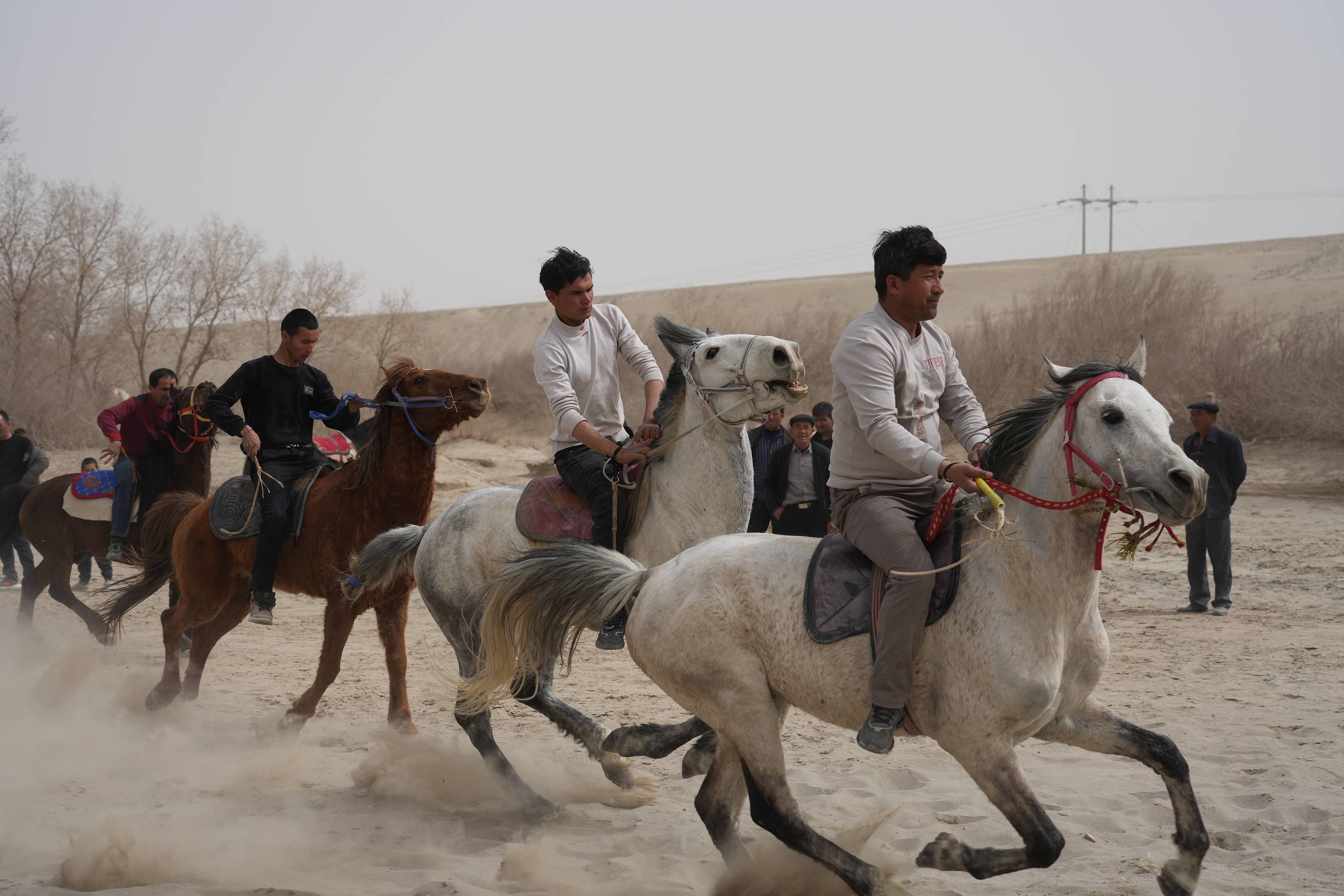 "斗鸡,赛马,叼羊……"若羌县农牧民传统体育竞赛活动精彩纷呈_文化_群