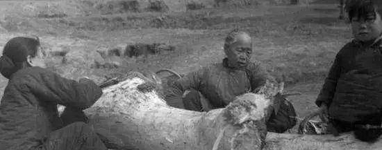 原创19591961全国粮食困难时代为何江西能支援全国42亿斤粮食