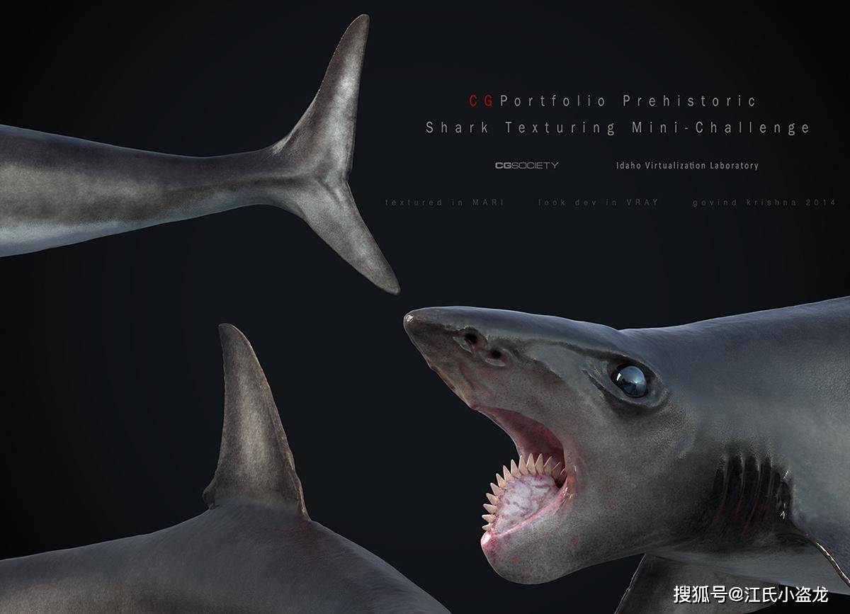 【史前海怪】远古怪鲨嘴中竟然长出了锯条!_牙齿_来自_图片