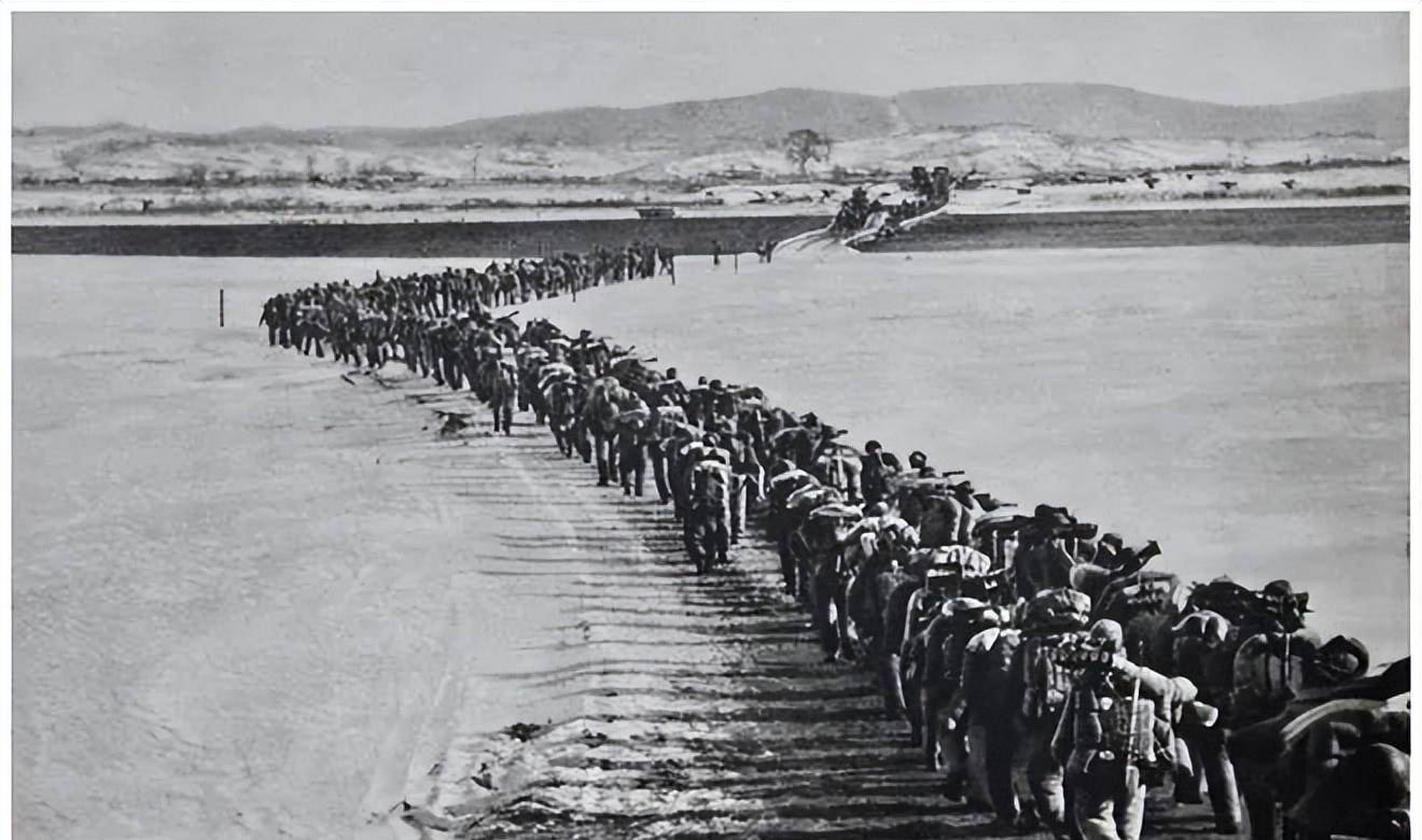 原创忍辱为智慧负重方前行