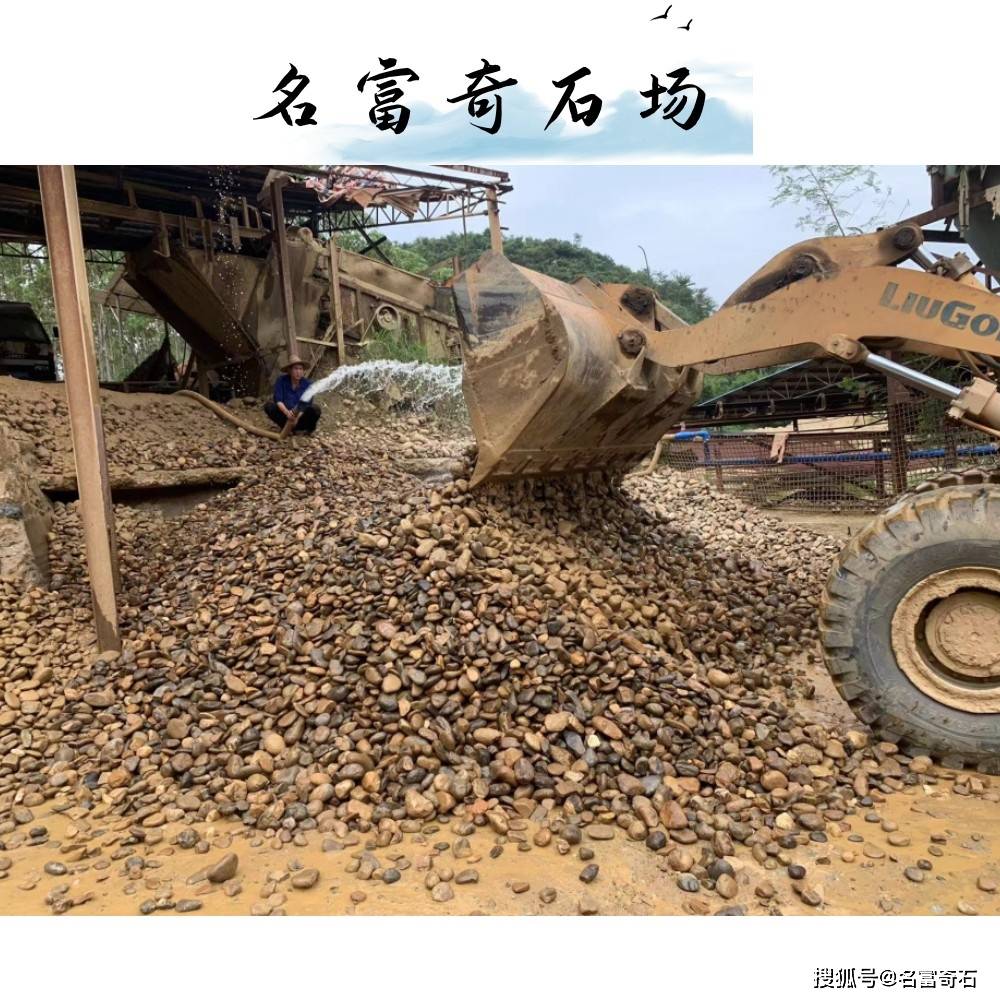 东莞路面装饰35公分鹅卵石广东杂色鹅卵石厂家批发