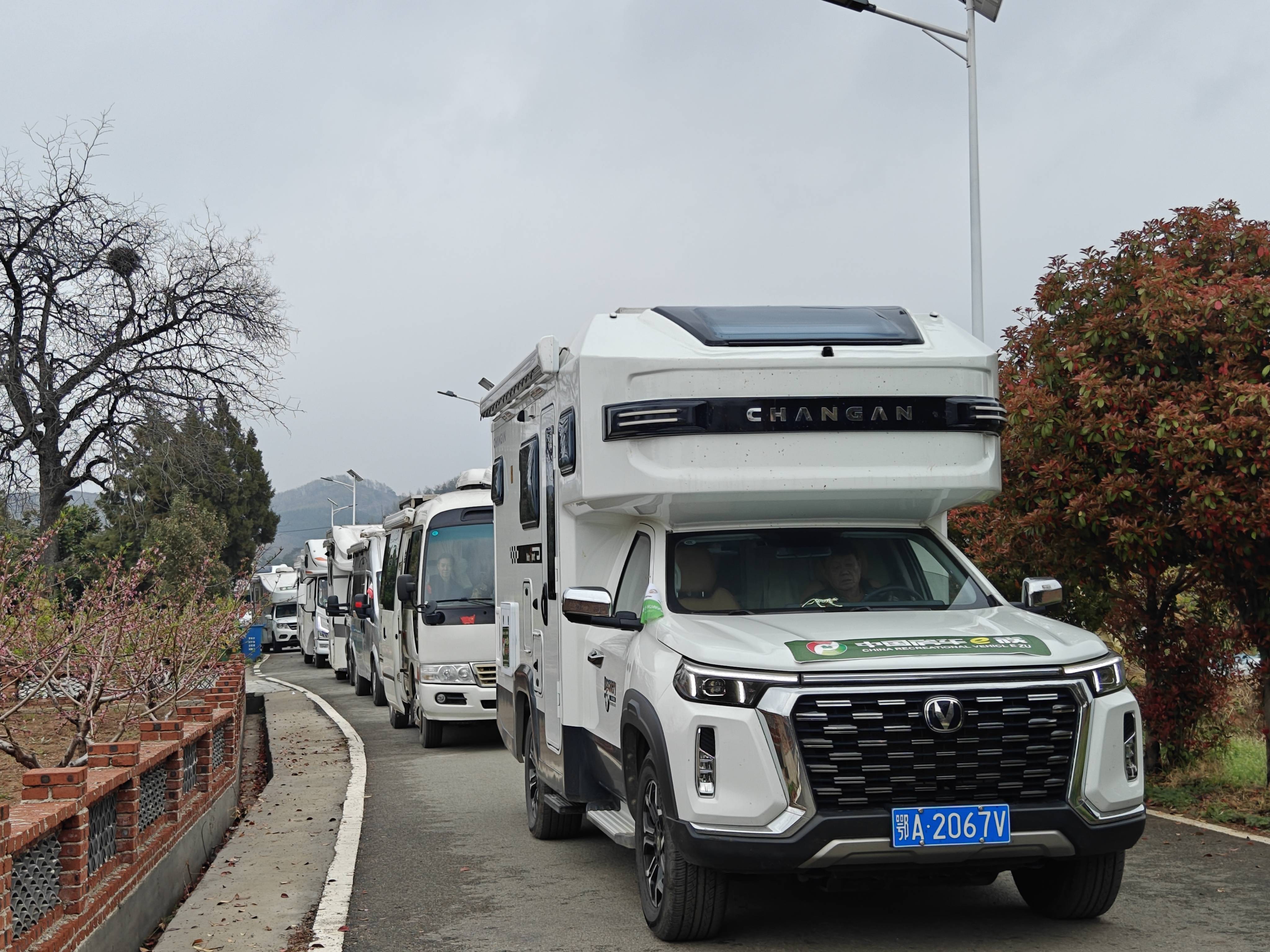 在下午的房车巡游环节里,近百辆房车同时穿行在60万亩桃花园里,如一条