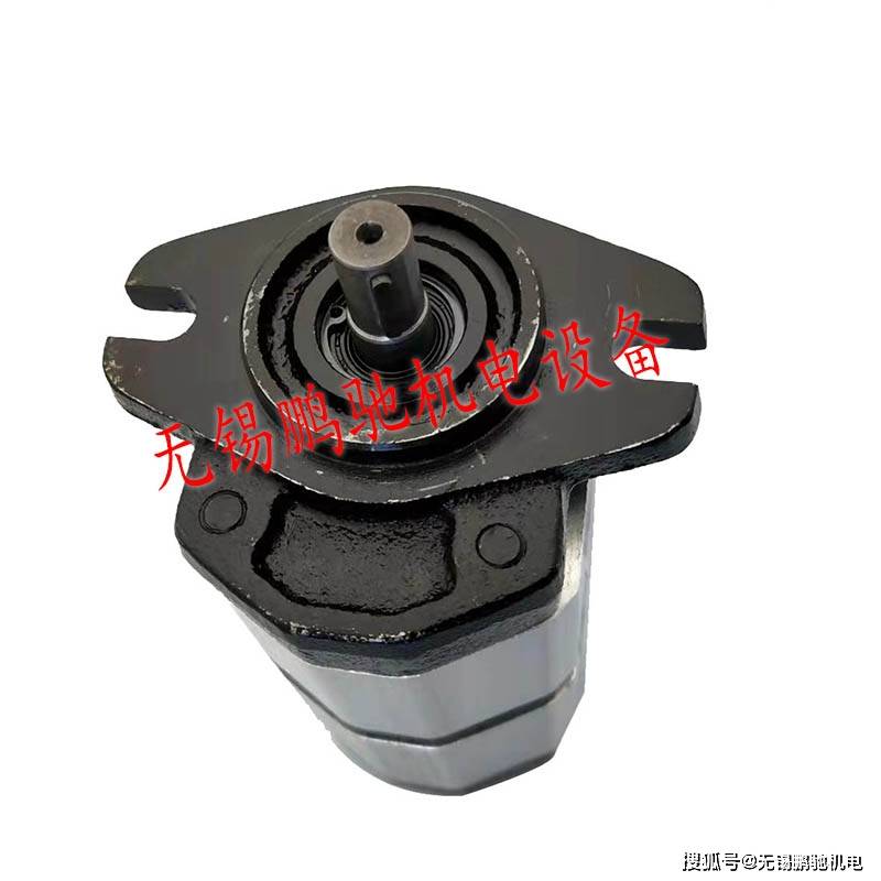 液压齿轮油泵工程泵bap2b15d20d16d18