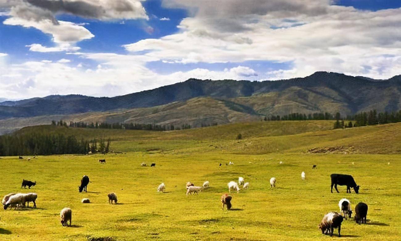 最后一片净土夏尔西里1998年才回归祖国它是如何被收回的