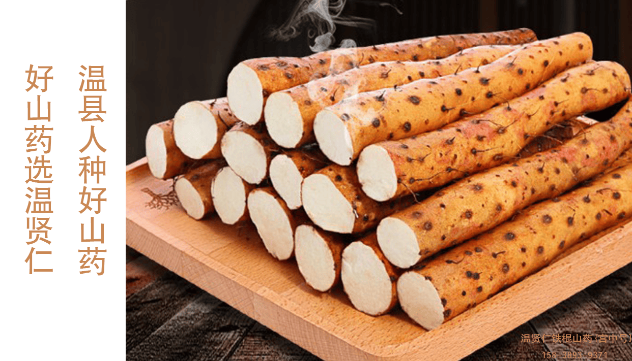 温县铁棍山药与普通山药的区别罗大伦博士力荐怀山药之深度解析药食