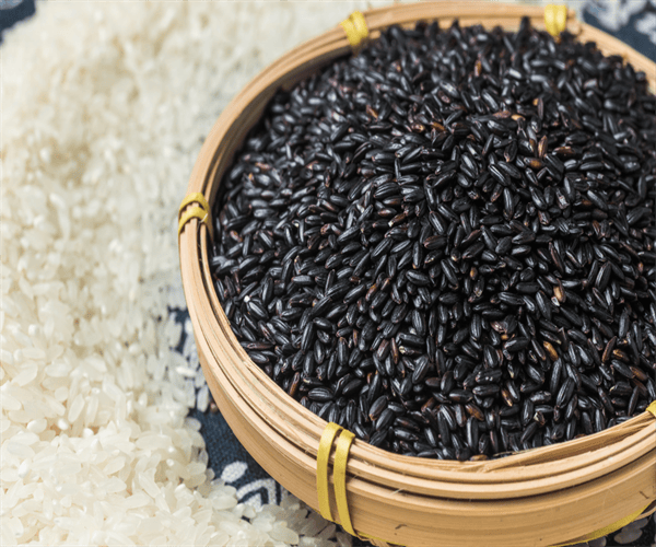 黑米重金属元素检测黑米碳水化合物检测