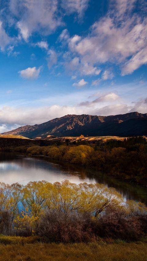 壁纸 风景 摄影 桌面 480_854 竖版 竖屏 手机