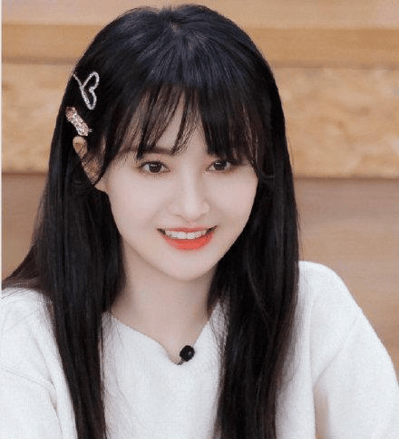 逃税后法院认定郑爽无财产可供执行_社会_明星_事件