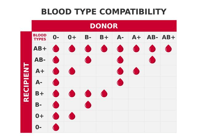 四大血型寿命排行公布,a血型寿命排老几呢?看看第一名是哪个?